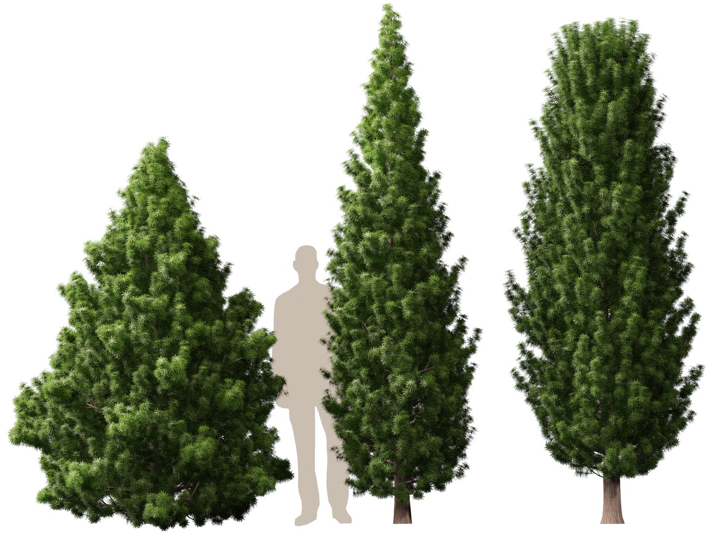 HighPoly LowPoly - Juniperus communis - Common Juniper 3D model https://p.turbosquid.com/ts-thumb/dY/Dcpa1J/SC/juniperuscommunis015/jpg/1747453092/1920x1080/fit_q87/24c20cd32fb44bc2f5d8a10af0a2584866e65ee1/juniperuscommunis015.jpg