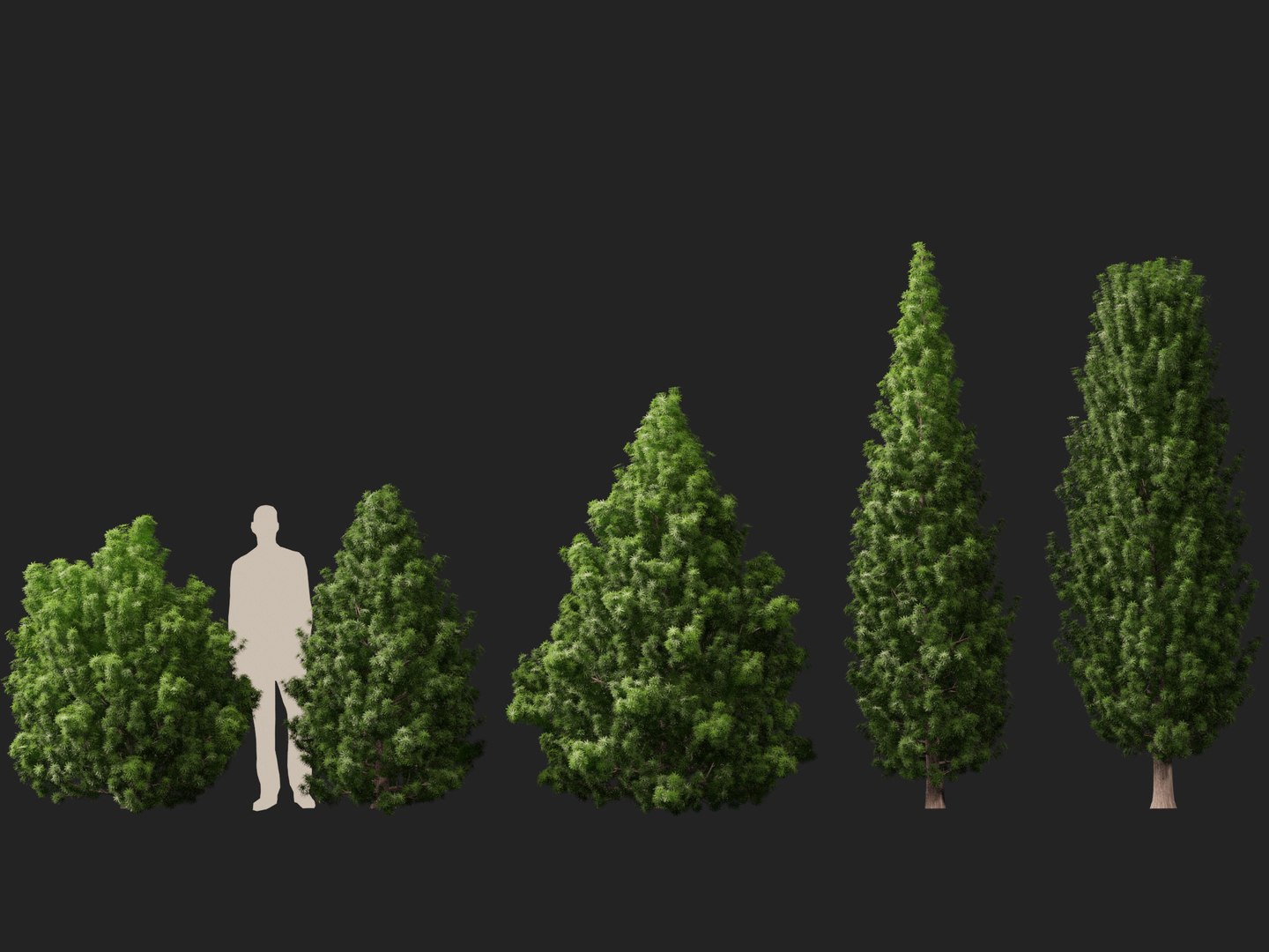 HighPoly LowPoly - Juniperus communis - Common Juniper 3D model https://p.turbosquid.com/ts-thumb/dY/Dcpa1J/Ui/juniperuscommunis012/jpg/1747453084/1920x1080/fit_q87/ea806f5a7023b7f1f5d1eb089c7731c196293756/juniperuscommunis012.jpg