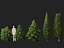 HighPoly LowPoly - Juniperus communis - Common Juniper