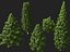 HighPoly LowPoly - Juniperus communis - Common Juniper