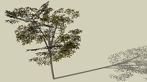 tree 3ds