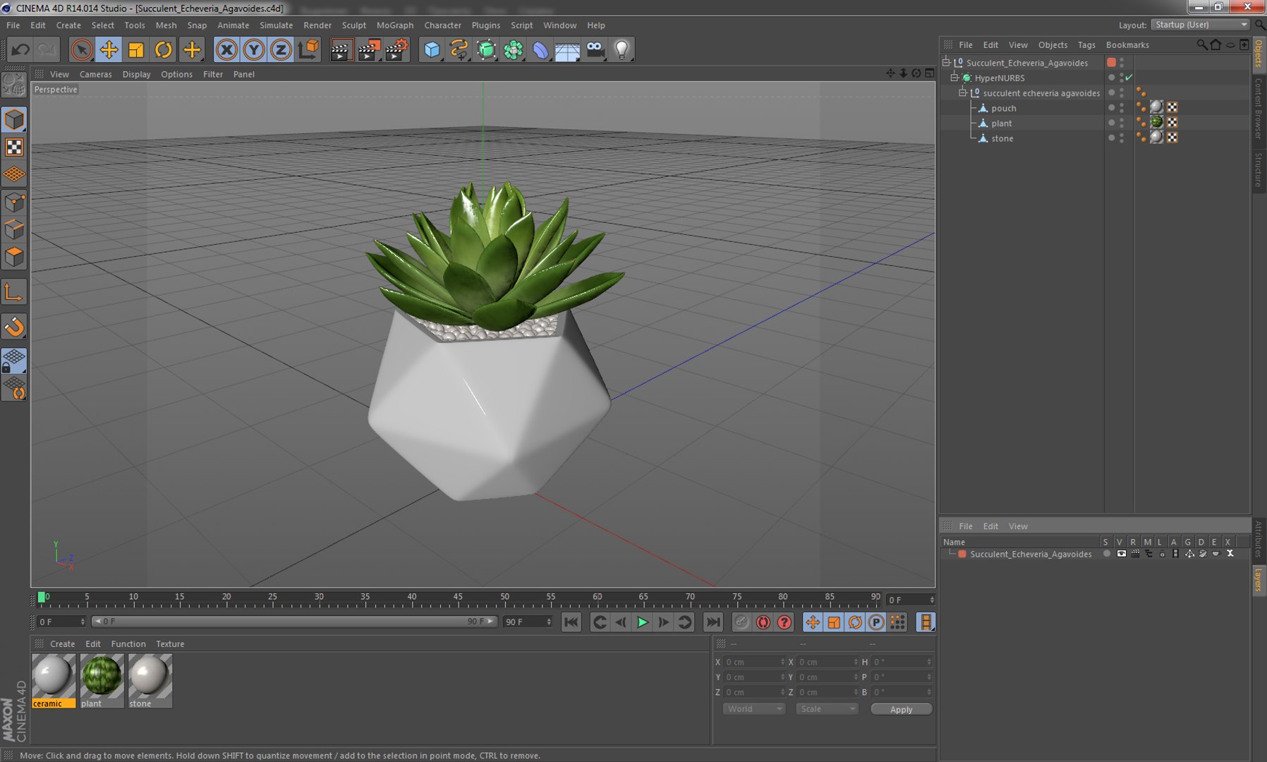 succulent echeveria agavoides model https://p.turbosquid.com/ts-thumb/dY/GC06KC/1seS9L8M/succulentecheveriaagavoides3dsmodel011/jpg/1514211343/1920x1080/fit_q87/3823b7e5fdeca4545fa9b1aedbda838991f13df1/succulentecheveriaagavoides3dsmodel011.jpg