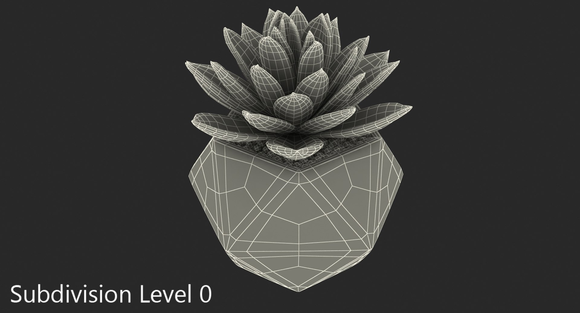 succulent echeveria agavoides model https://p.turbosquid.com/ts-thumb/dY/GC06KC/Om70q2QV/succulentecheveriaagavoides3dsmodel006/jpg/1514211325/1920x1080/fit_q87/f8debe2d36e6660b8f6ba3b1626ac5900dea43a9/succulentecheveriaagavoides3dsmodel006.jpg