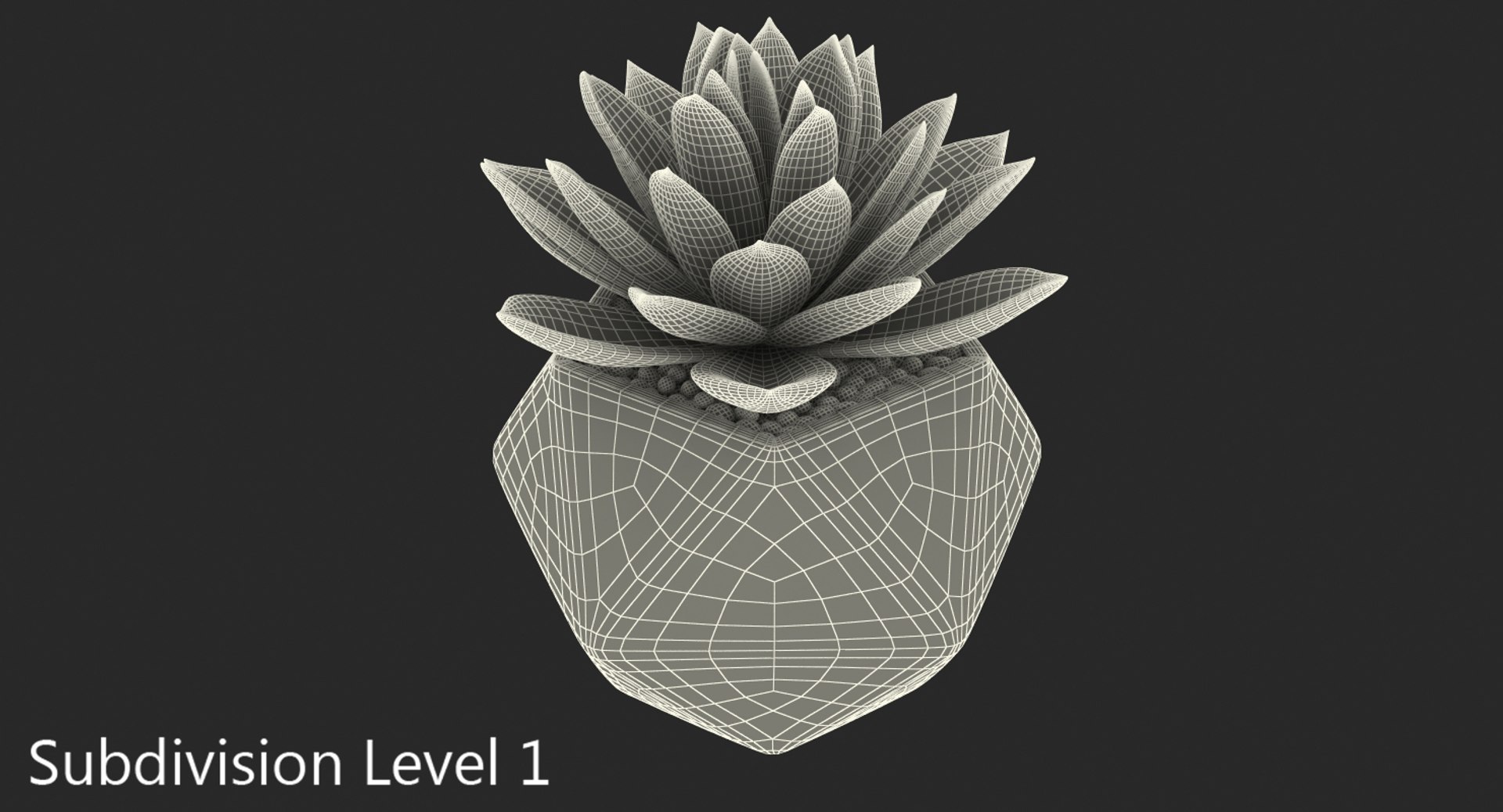 succulent echeveria agavoides model https://p.turbosquid.com/ts-thumb/dY/GC06KC/YWOQLKve/succulentecheveriaagavoides3dsmodel007/jpg/1514211328/1920x1080/fit_q87/fa30273f9702015831a5569d66f6ac812de6b618/succulentecheveriaagavoides3dsmodel007.jpg