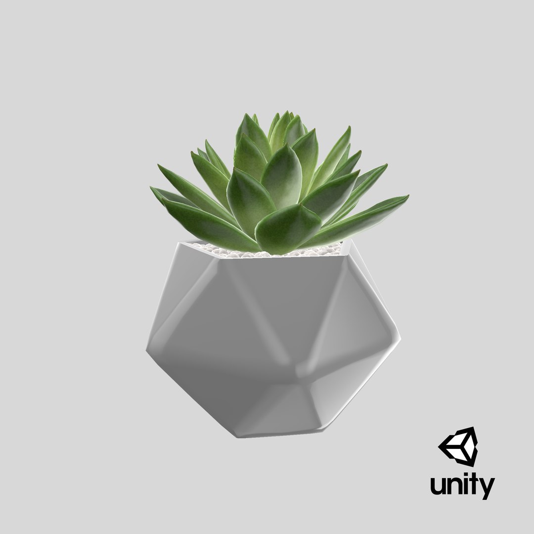 succulent echeveria agavoides model https://p.turbosquid.com/ts-thumb/dY/GC06KC/f0/stemcell_unity_render/png/1650960526/1920x1080/fit_q87/d8fd345c12c594b13dfef1563cf17649d394fe1e/stemcell_unity_render.jpg