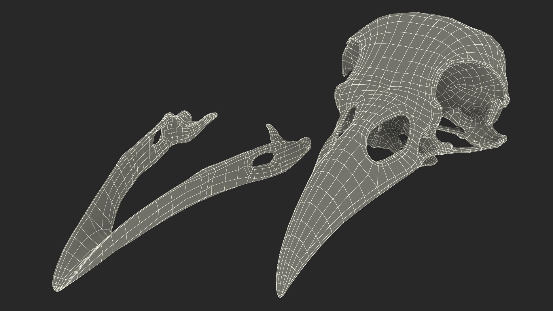 Crow Raven Skull Anatomy Model Aged 3D model https://p.turbosquid.com/ts-thumb/dY/TPLQxj/yg/crow_raven_skull_anatomy_model_aged_023/jpg/1741531254/1920x1080/fit_q87/7228ce24bc761c55d4f9c75b74cc04a4ccd2f35c/crow_raven_skull_anatomy_model_aged_023.jpg