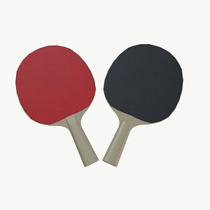 Table tennis bat