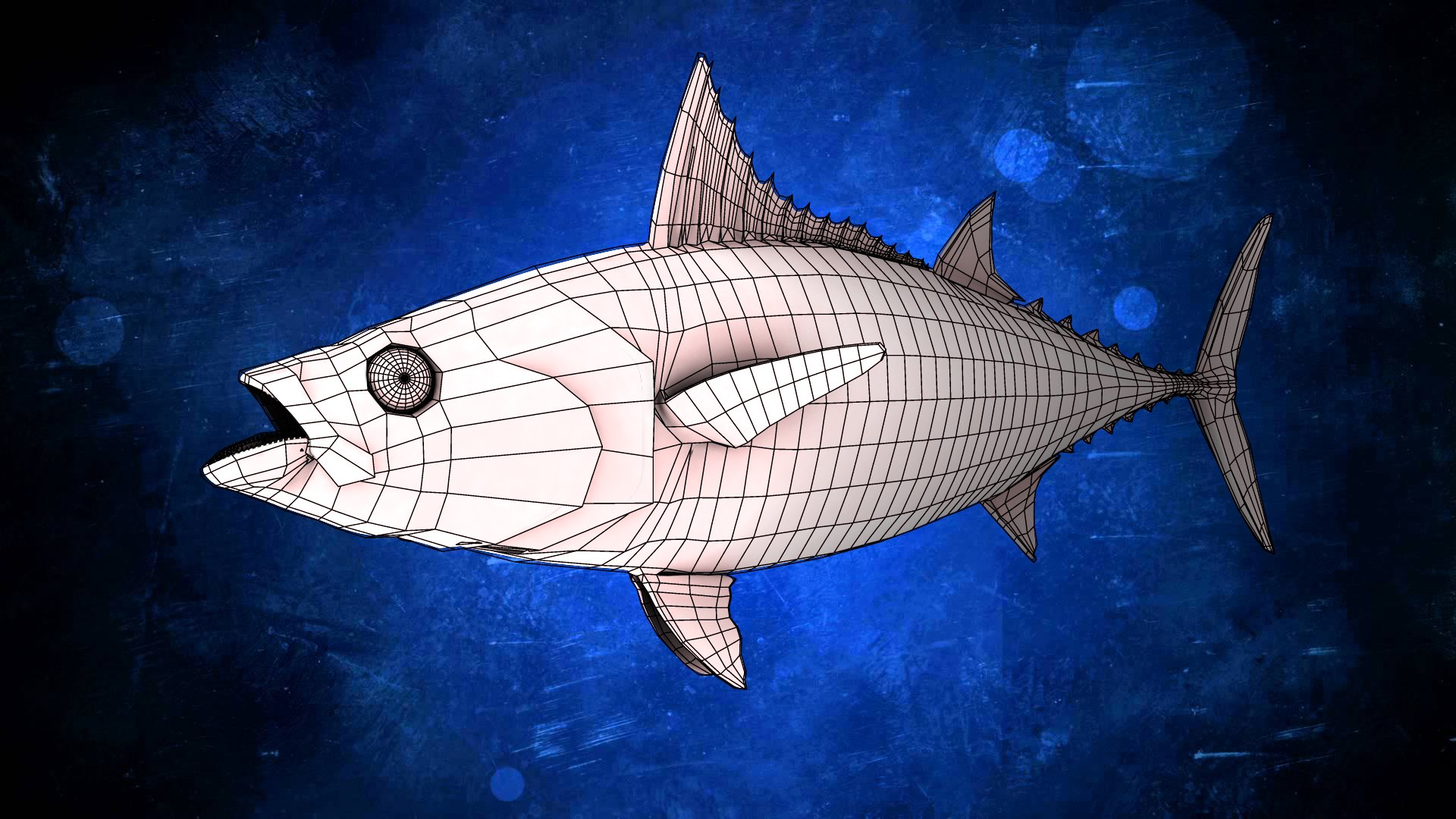 3d Bonito Fish