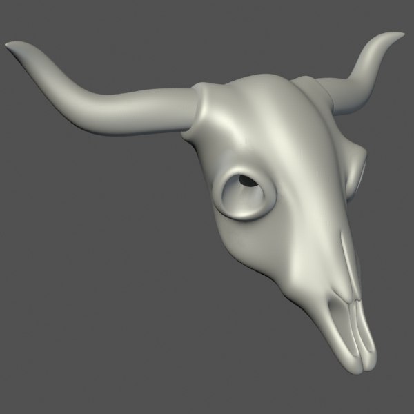 animal skull 3d model