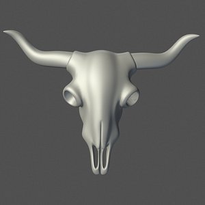 Animal Skull