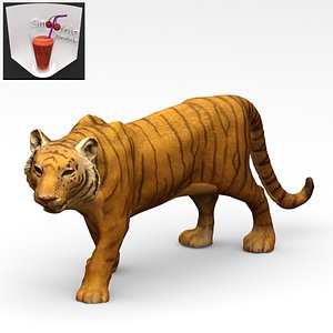 3d bengal tiger model