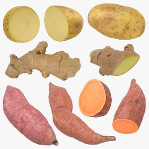 Root Vegetables Collection
