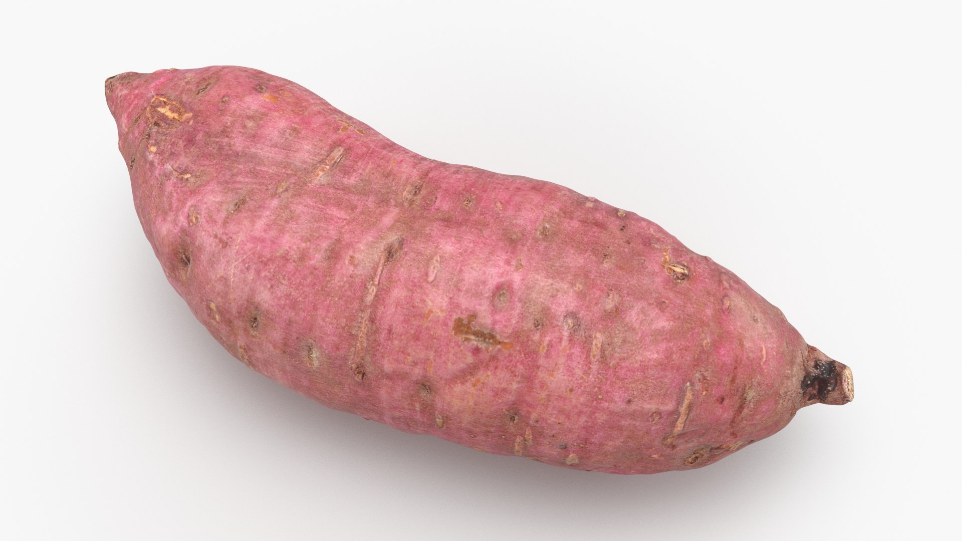 Root Vegetables Collection 3D model https://p.turbosquid.com/ts-thumb/dY/tw9OeD/pm/sweetpotato06_a0001/jpg/1770823449/1920x1080/fit_q87/a45d9f0d2990bece1b4fa3f9fa5b3ead7a8ad183/sweetpotato06_a0001.jpg
