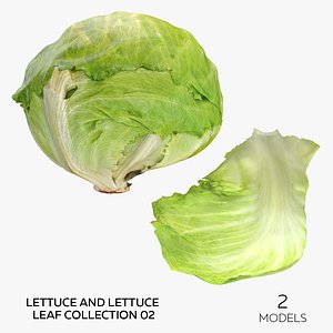 3D Lettuce and Lettuce Leaf Collection 02 - 2 models