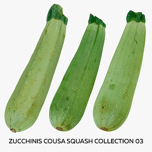 3D model Zucchinis Cousa Squash Collection 03 - 3 models RAW Scans