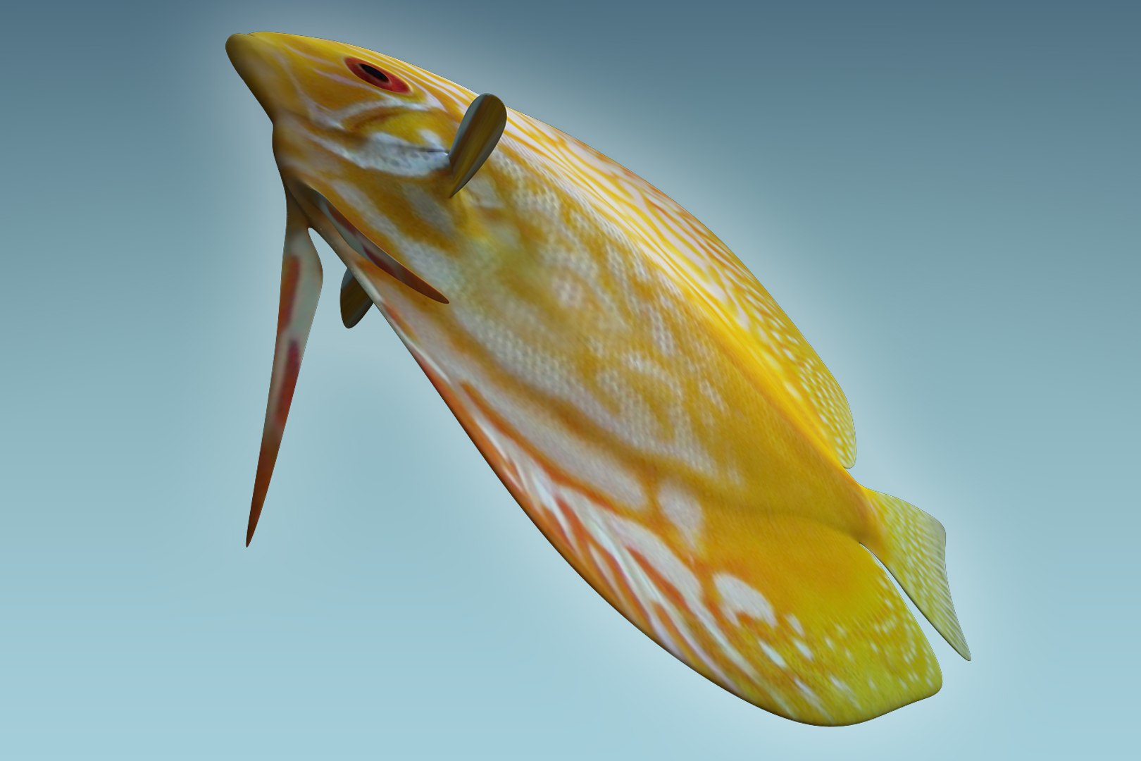 Discus fish 8 3D - TurboSquid 1208919