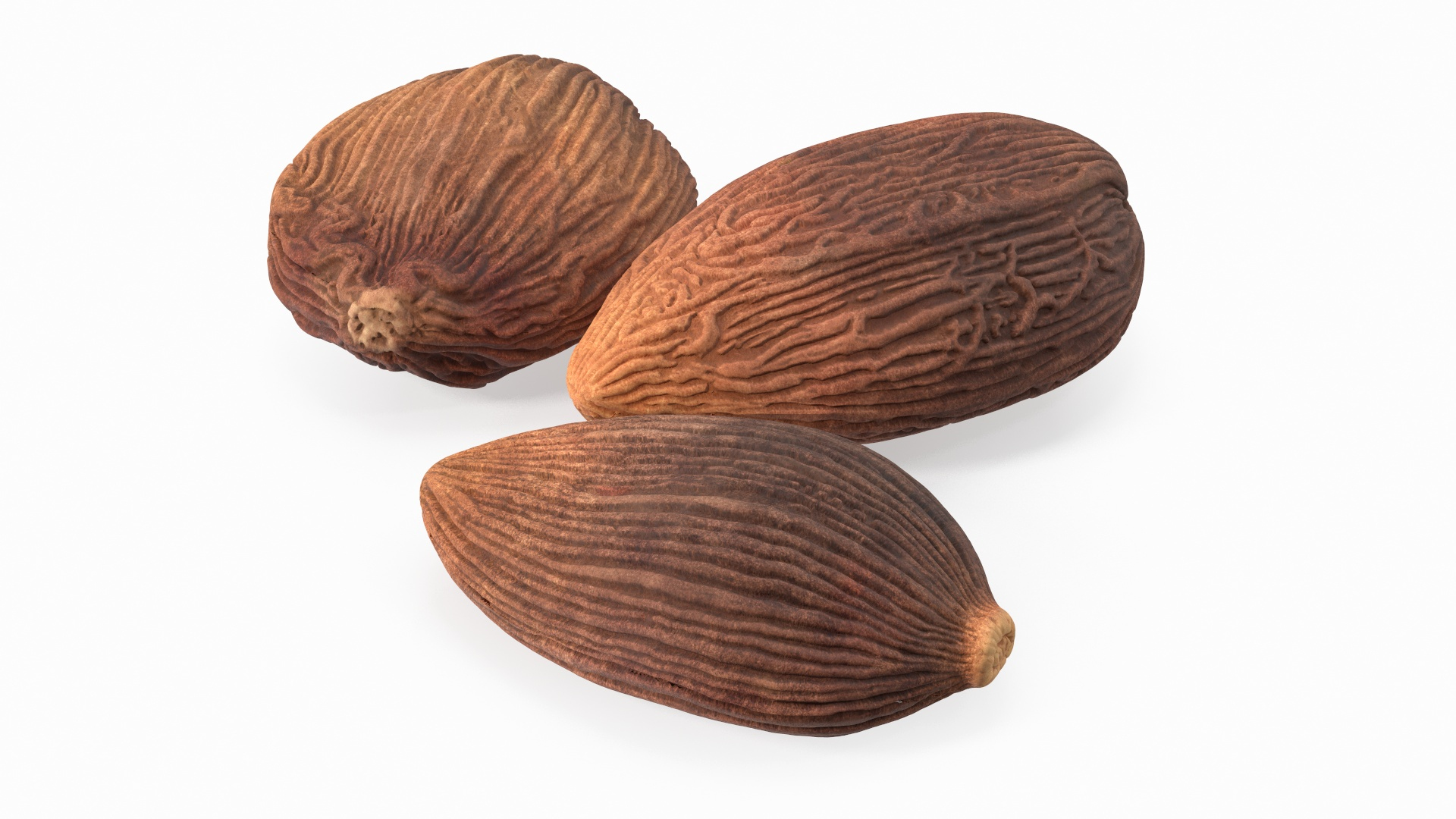 Spices Collection 4 3D https://p.turbosquid.com/ts-thumb/dZ/V7nL1q/06/dried_black_cardamom_fruit_360/jpg/1693471062/1920x1080/turn_fit_q99/b5bd5ccd9f38a75d897d73ae8837a44a79874bc2/dried_black_cardamom_fruit_360-1.jpg