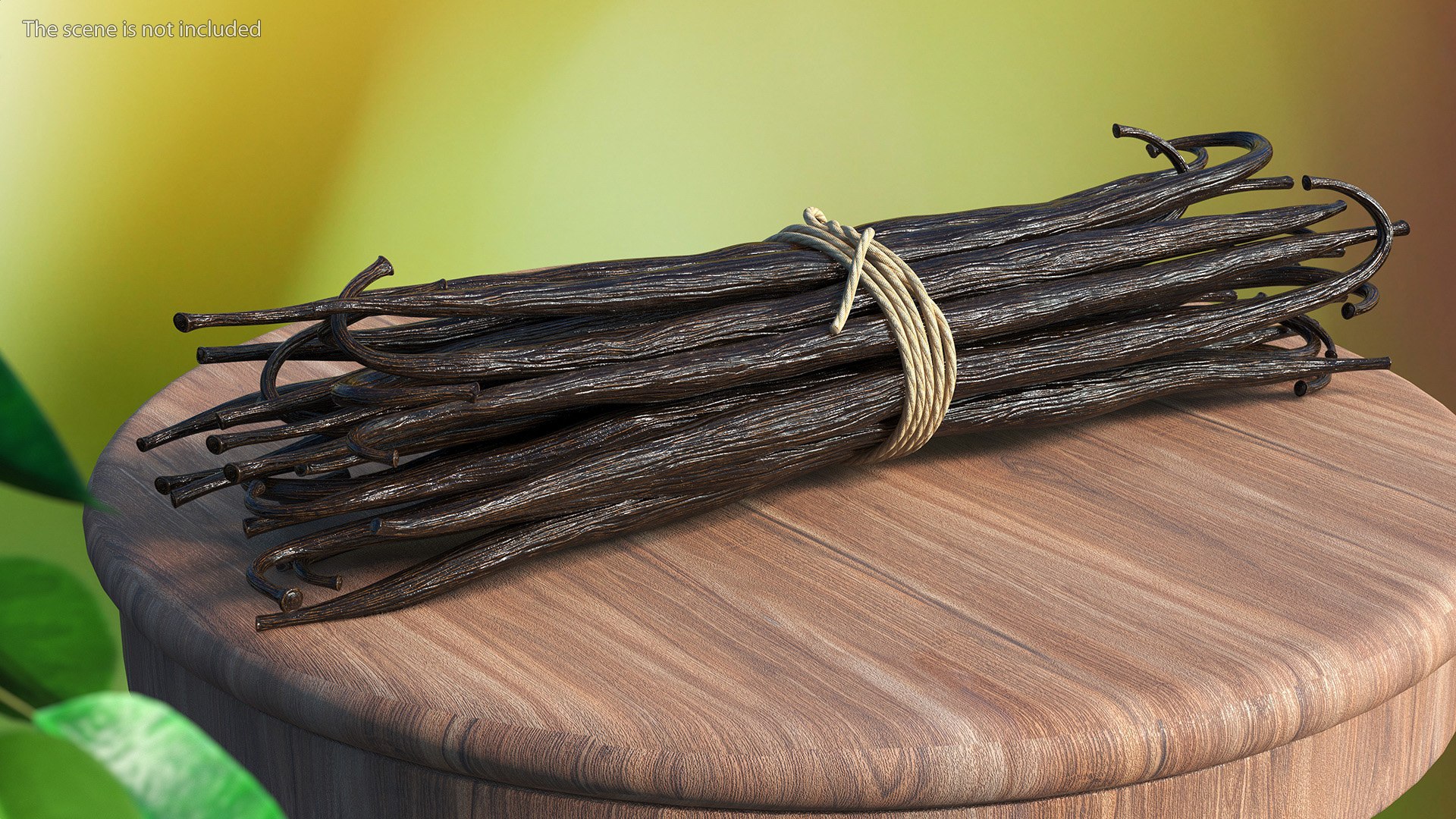 Spices Collection 4 3D https://p.turbosquid.com/ts-thumb/dZ/V7nL1q/4f/spicescollection4mb3dmodel015/jpg/1693471527/1920x1080/fit_q87/2e0da5ab9e5197037616e0e0553ee78ab8a36aae/spicescollection4mb3dmodel015.jpg