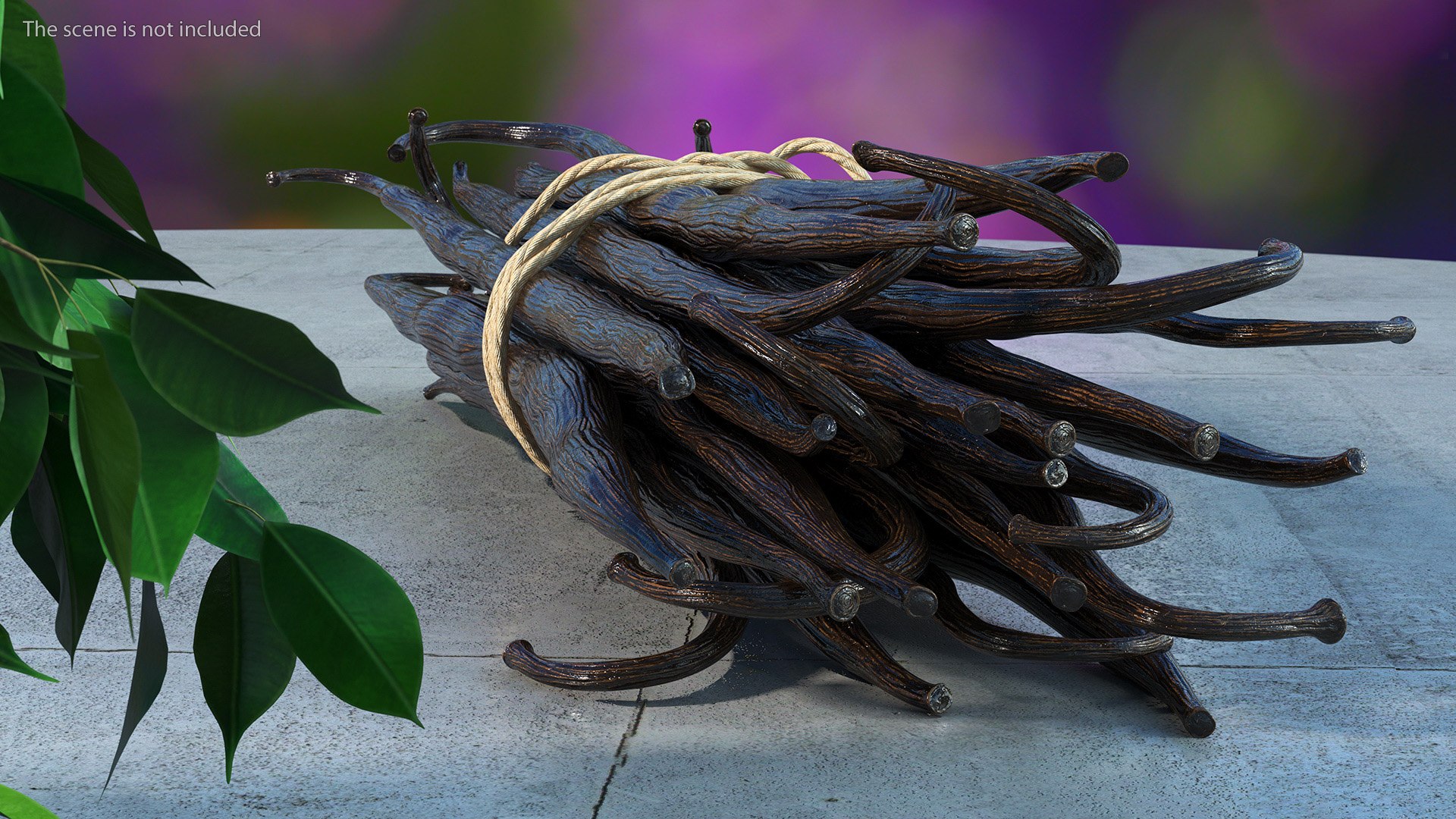 Spices Collection 4 3D https://p.turbosquid.com/ts-thumb/dZ/V7nL1q/uG/spicescollection4mb3dmodel016/jpg/1693471530/1920x1080/fit_q87/c7f87265d734b6e644102238996fd70d09321585/spicescollection4mb3dmodel016.jpg