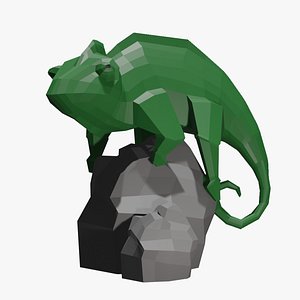 3D Chameleon