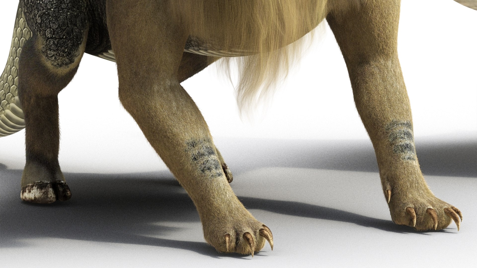 3D Mythical Chimera with Fur for Maya model https://p.turbosquid.com/ts-thumb/dZ/ho9POw/He/mythical_chimera_with_fur_017/jpg/1742857225/1920x1080/fit_q87/29179c04f182e1b29040143f17576196d22440d8/mythical_chimera_with_fur_017.jpg