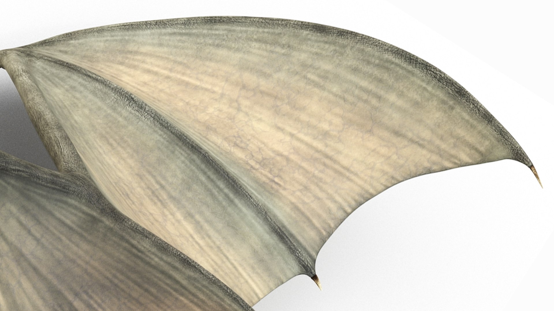 3D Mythical Chimera with Fur for Maya model https://p.turbosquid.com/ts-thumb/dZ/ho9POw/m2/mythical_chimera_with_fur_019/jpg/1742857235/1920x1080/fit_q87/61803e5ef7c3c2ad27ba009dc97a734a55469ab3/mythical_chimera_with_fur_019.jpg