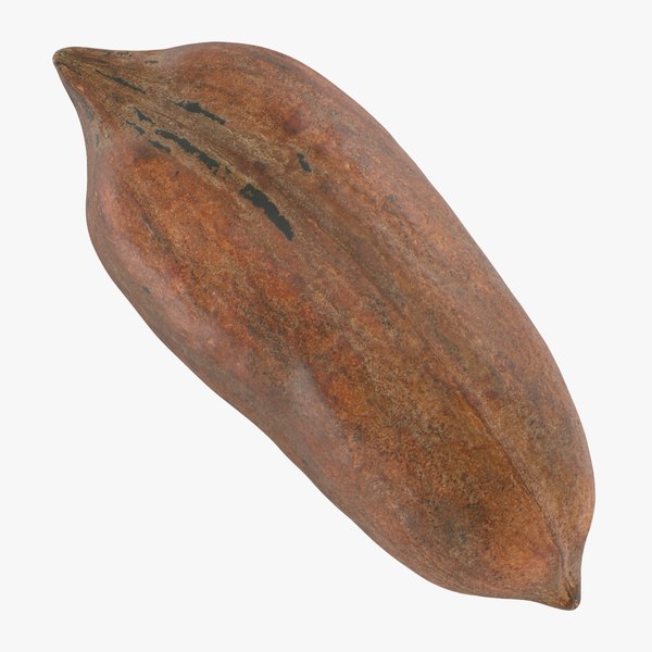 Pecan Shell 01 3D model - TurboSquid 1976606