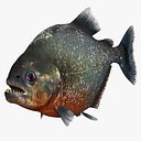 3d piranha cheetah3d model