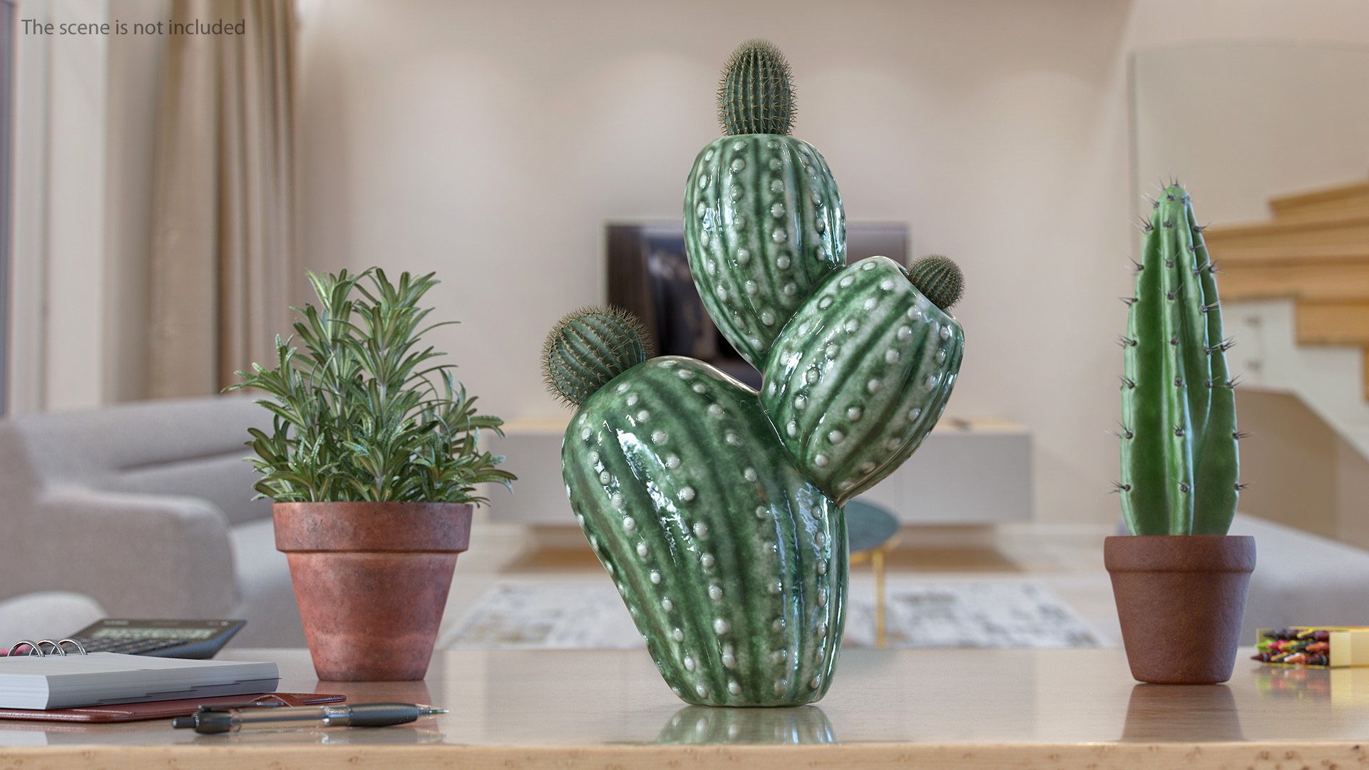 Cactus Vase 3D model preview