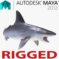 Sandbar Shark Rigged for Maya