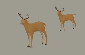 3D Deer