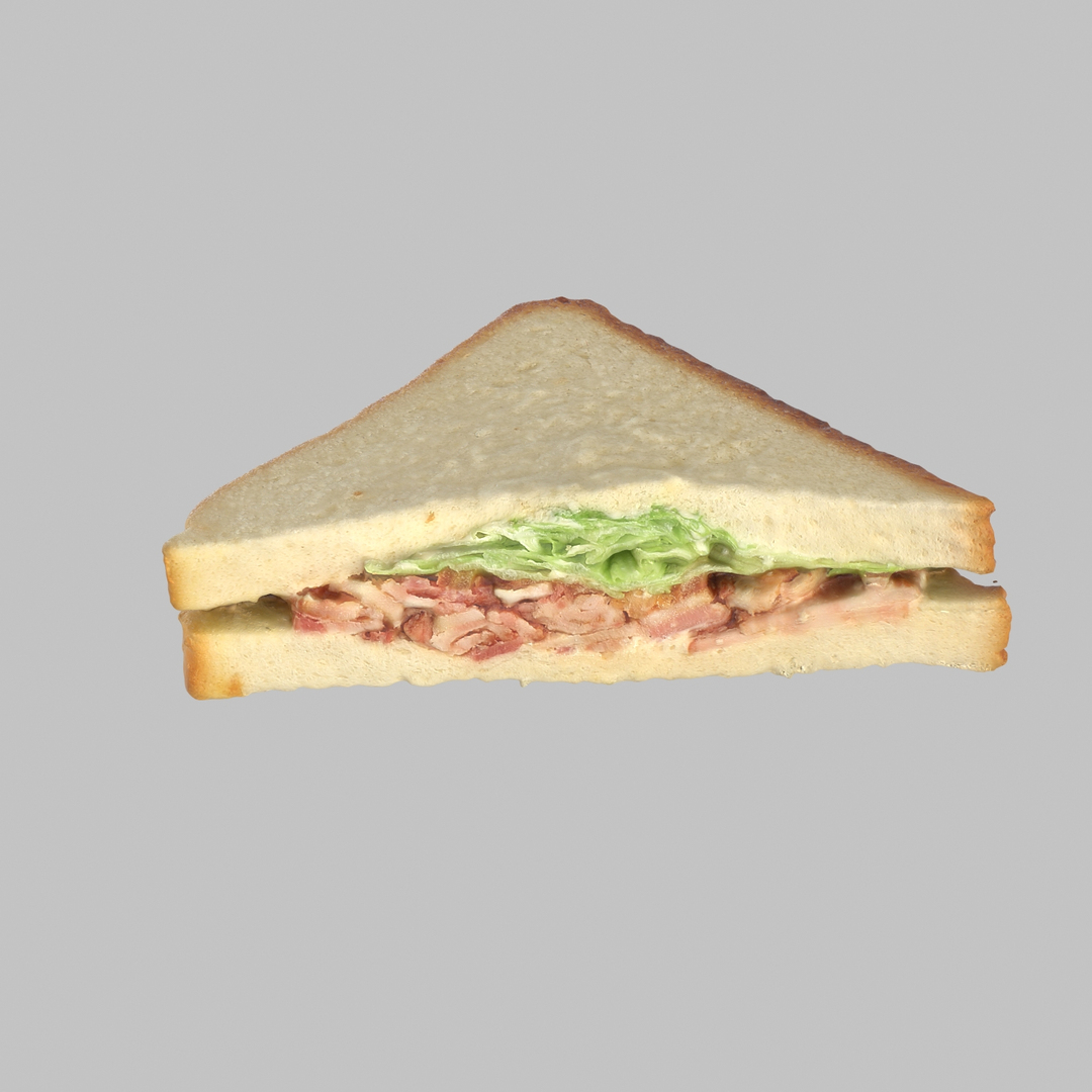 sandwich bacon 3d model https://p.turbosquid.com/ts-thumb/da/LyxO7o/7vpSi0ab/360/jpg/1490737714/1920x1080/turn_fit_q99/2ea604bb09b75afea8b3d0f1d63fbfc762cd4992/360-1.jpg