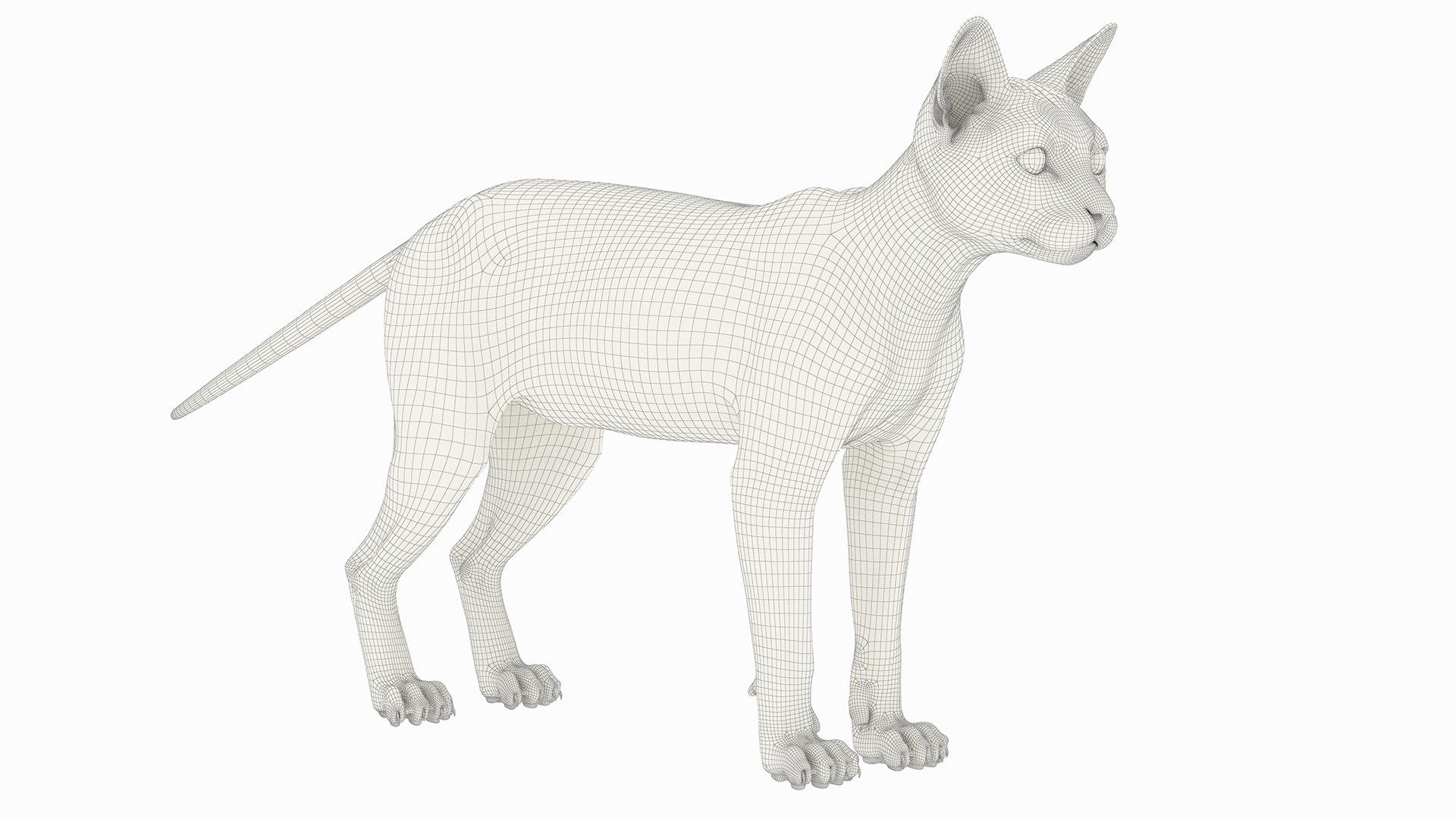 Striped Cat Knocks Objects Off Table Fur Animated Rigged For Maya 3D model https://p.turbosquid.com/ts-thumb/da/UkMxyP/1s/striped_cat_knocks_objects_off_table_fur_animated_rigged_for_maya_022/jpg/1787693032/1920x1080/fit_q87/2777168f7f7b9b43c771b2ccc9ef2523f7786b67/striped_cat_knocks_objects_off_table_fur_animated_rigged_for_maya_022.jpg