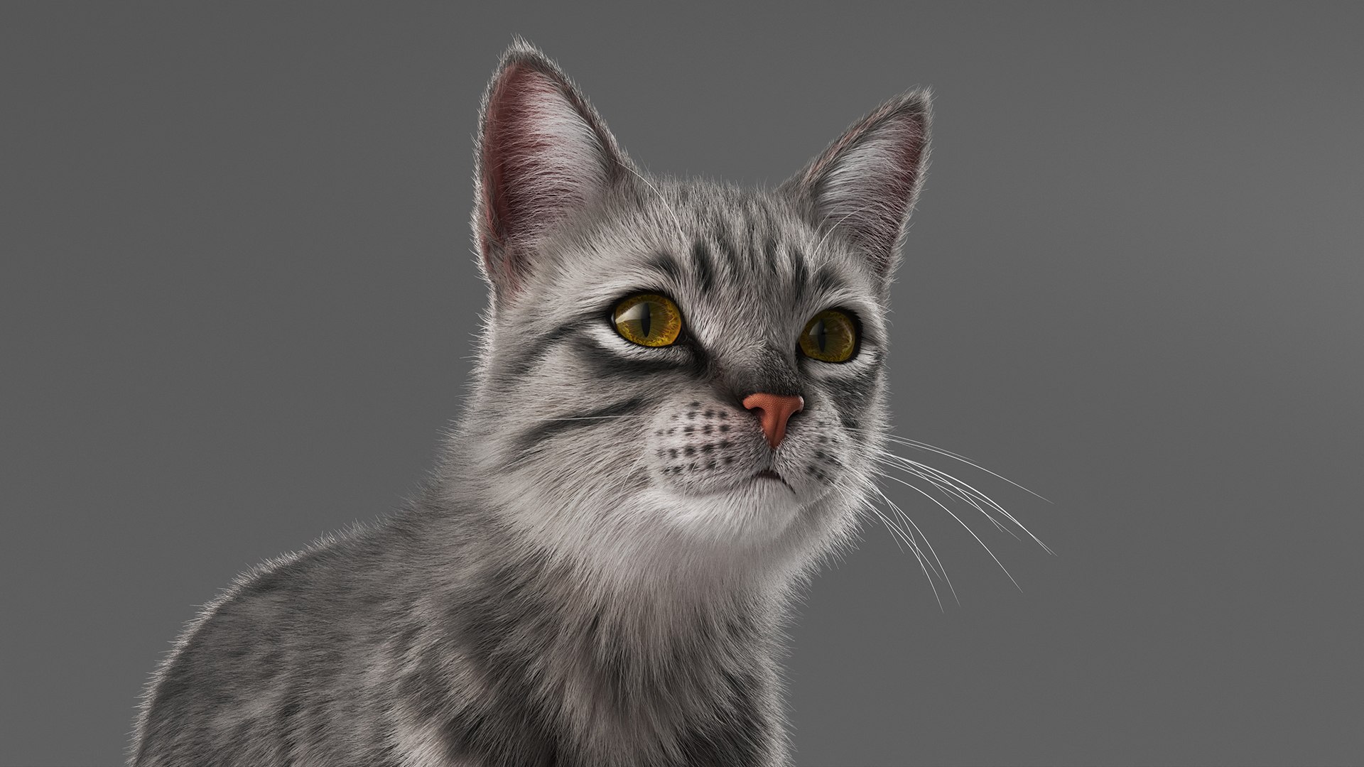 Striped Cat Knocks Objects Off Table Fur Animated Rigged For Maya 3D model https://p.turbosquid.com/ts-thumb/da/UkMxyP/RO/striped_cat_knocks_objects_off_table_fur_animated_rigged_for_maya_013/jpg/1787693006/1920x1080/fit_q87/95271cdc01e3b3f9258e3f3a595808358bcf6afe/striped_cat_knocks_objects_off_table_fur_animated_rigged_for_maya_013.jpg