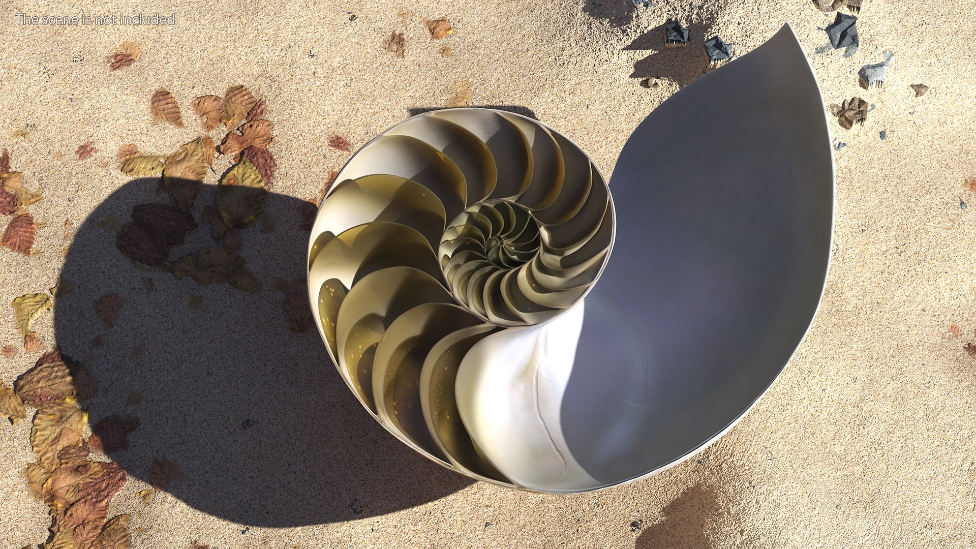 Nautilus Shell Slice model https://p.turbosquid.com/ts-thumb/da/X641wt/0r/nautilusshellslicemb3dmodel003/jpg/1648204973/1920x1080/fit_q87/fb83af2abb077ad0b17d8c335ad08c88a1dbaf88/nautilusshellslicemb3dmodel003.jpg