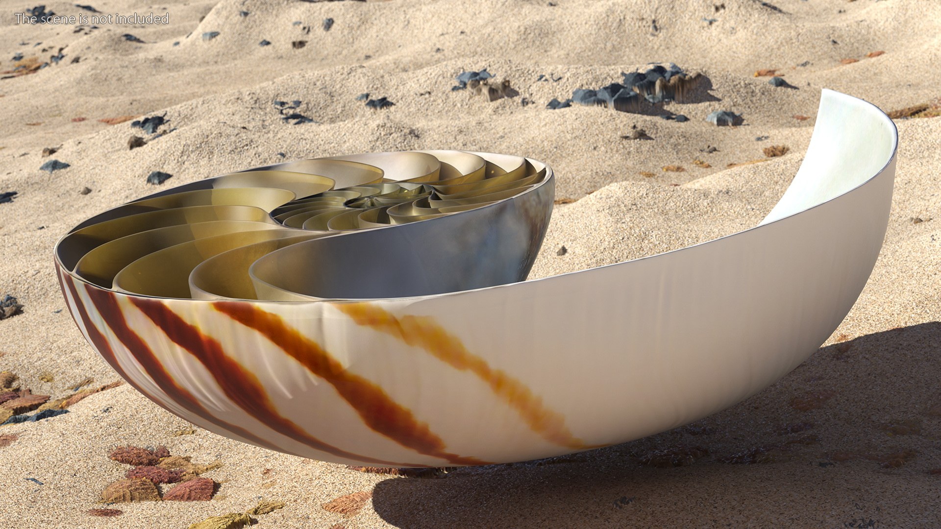 Nautilus Shell Slice model https://p.turbosquid.com/ts-thumb/da/X641wt/6j/nautilusshellslicemb3dmodel004/jpg/1648204976/1920x1080/fit_q87/43541591b55102404fdc392f2a00df8e3ce1c766/nautilusshellslicemb3dmodel004.jpg