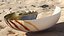 Nautilus Shell Slice
