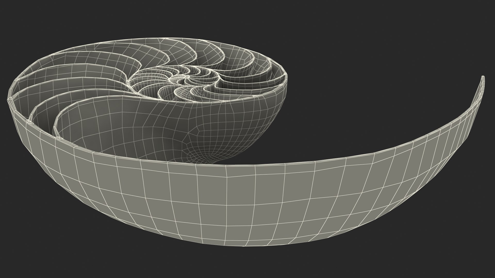 Nautilus Shell Slice model https://p.turbosquid.com/ts-thumb/da/X641wt/HS/nautilusshellslicemb3dmodel029/jpg/1648205043/1920x1080/fit_q87/590323cb228d7095b5ab0178b53c94594e1526cf/nautilusshellslicemb3dmodel029.jpg