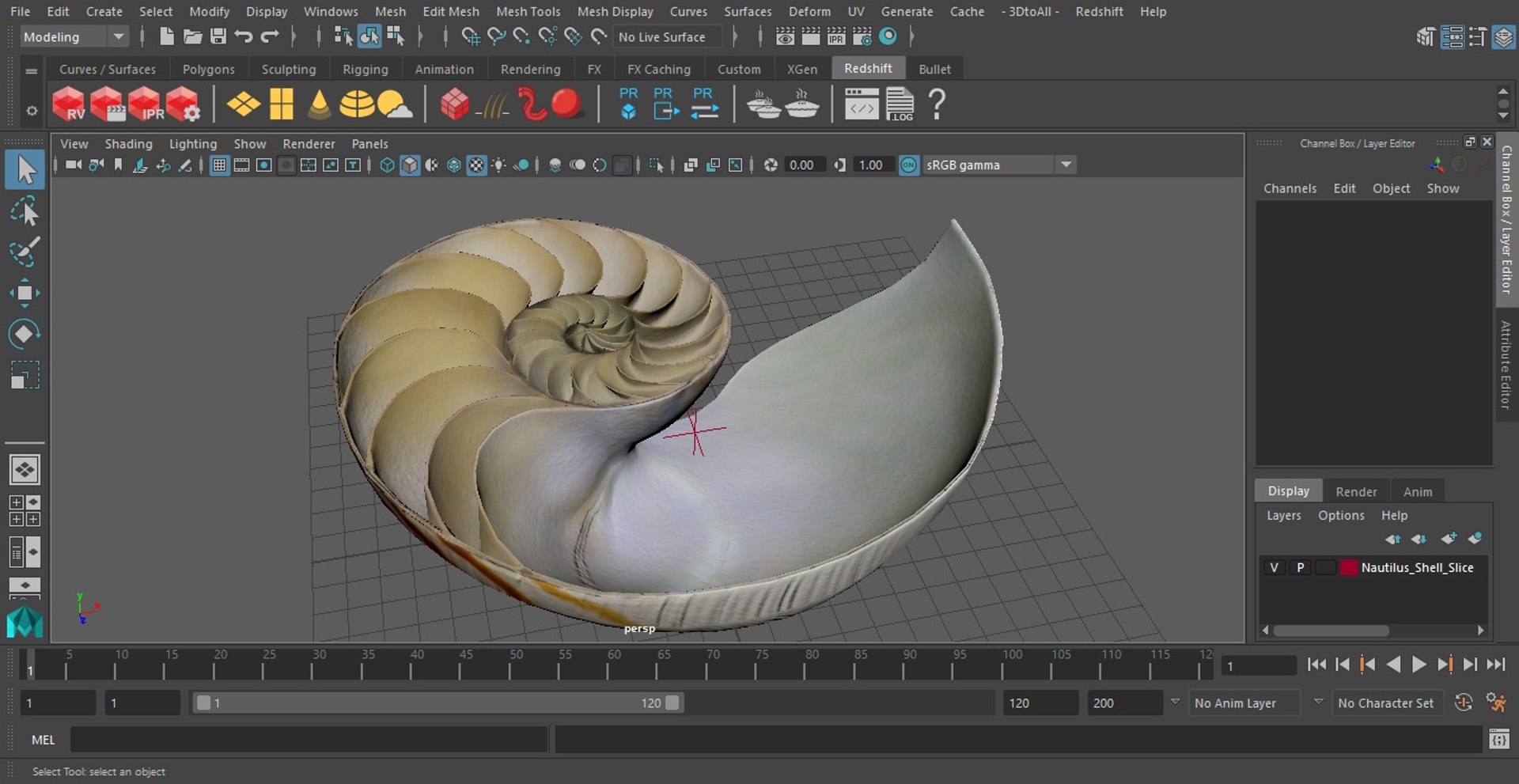 Nautilus Shell Slice model https://p.turbosquid.com/ts-thumb/da/X641wt/Mh/nautilusshellslicemb3dmodel028/jpg/1648205040/1920x1080/fit_q87/e571d95aa39855f721a38e071a1b1f758bc28caf/nautilusshellslicemb3dmodel028.jpg