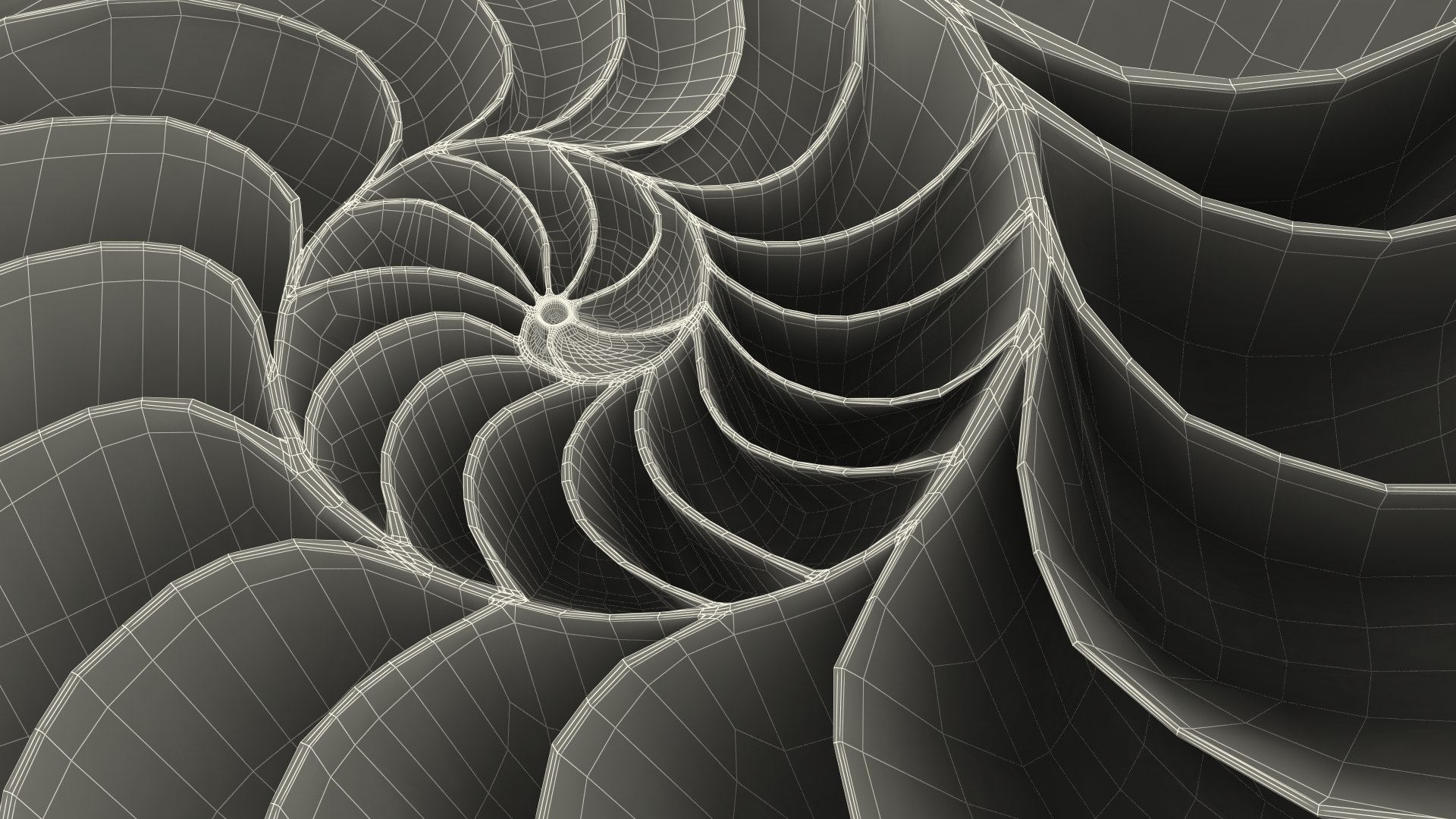 Nautilus Shell Slice model https://p.turbosquid.com/ts-thumb/da/X641wt/Yv/nautilusshellslicemb3dmodel031/jpg/1648205050/1920x1080/fit_q87/2fbcbbb109b6d719529f84029553acf9702b3b78/nautilusshellslicemb3dmodel031.jpg