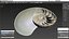 Nautilus Shell Slice