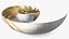 Nautilus Shell Slice