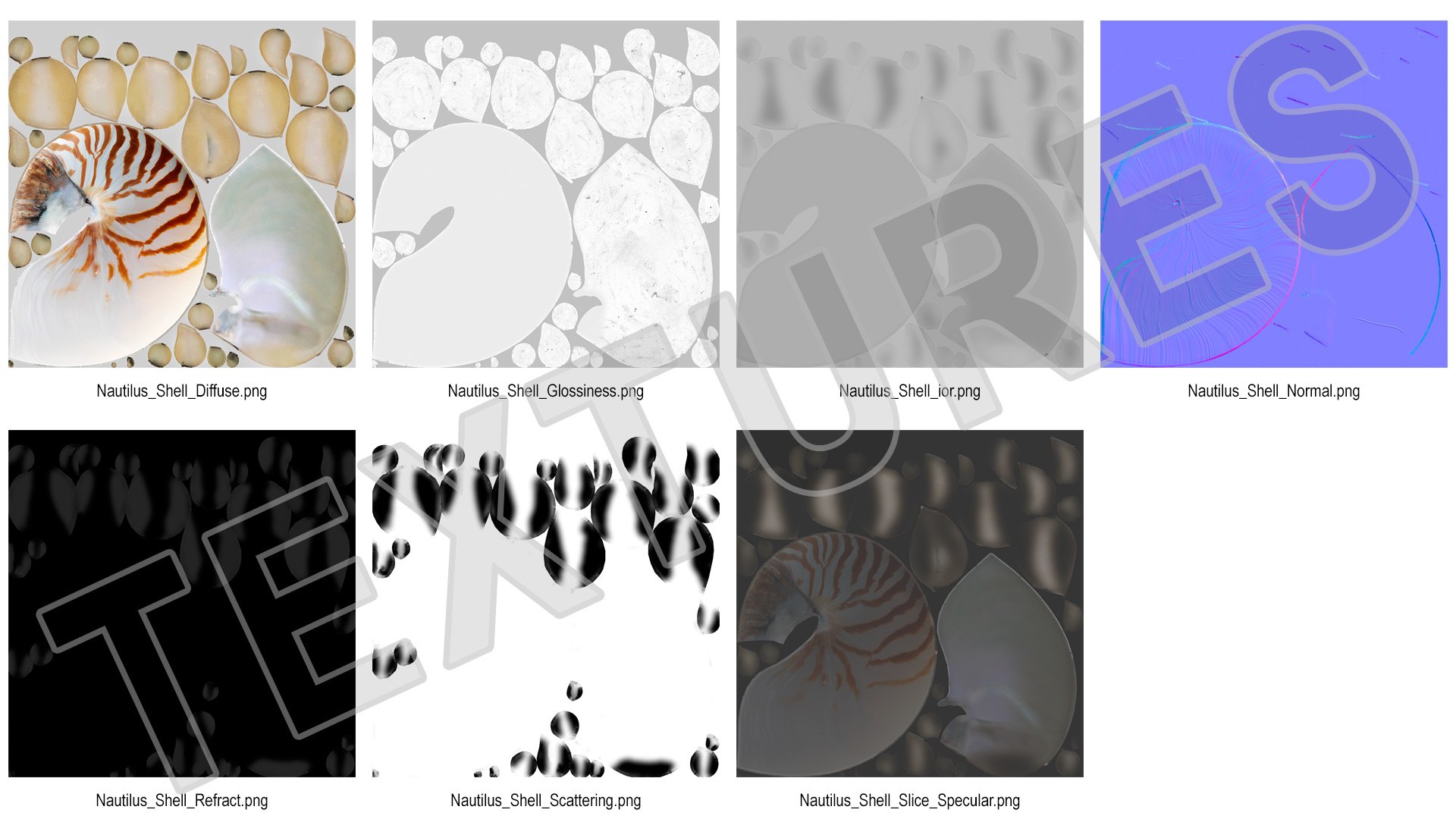 Nautilus Shell Slice model https://p.turbosquid.com/ts-thumb/da/X641wt/rK/nautilusshellslicemb3dmodel023/jpg/1648205027/1920x1080/fit_q87/4fe1b225f4d830d37953b1d1b0bf4db539fd4f88/nautilusshellslicemb3dmodel023.jpg