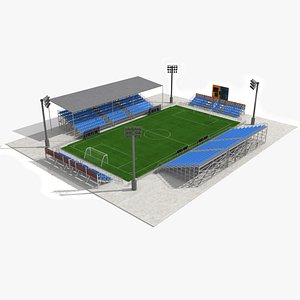 mini-foot field model