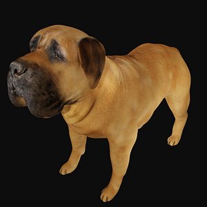 Fully rigged low poly Mastiff Dog