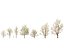 HighpolyLowPoly - Prunus avium - Sweet cherry