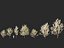 HighpolyLowPoly - Prunus avium - Sweet cherry