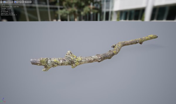 3D branch lichen