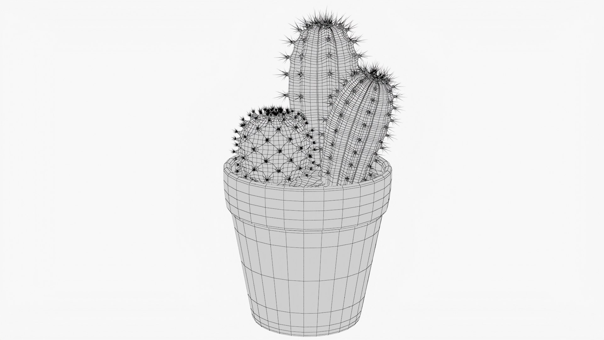 3D model Cactus 02 e - TurboSquid 1987416