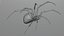 Black widow spider basemesh